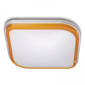 金佛顶龙脊梯田